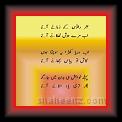amjid shaik 01 * 22.03.2008 * 353 x 708 * (27KB)